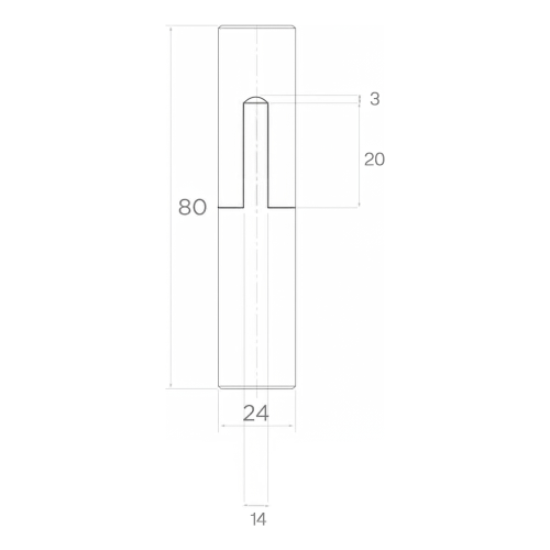 Charnière de portail roulée PSG FI 24×80 avec bille pour portails battants 001-472 (2)