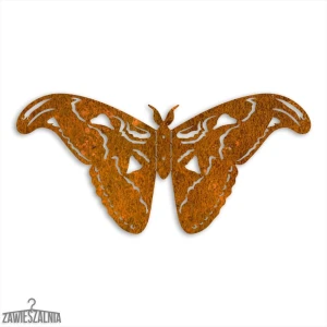 Zawieszalnia – décoration murale 3D Papillon Paon Atlas L 50 cm acier Corten
