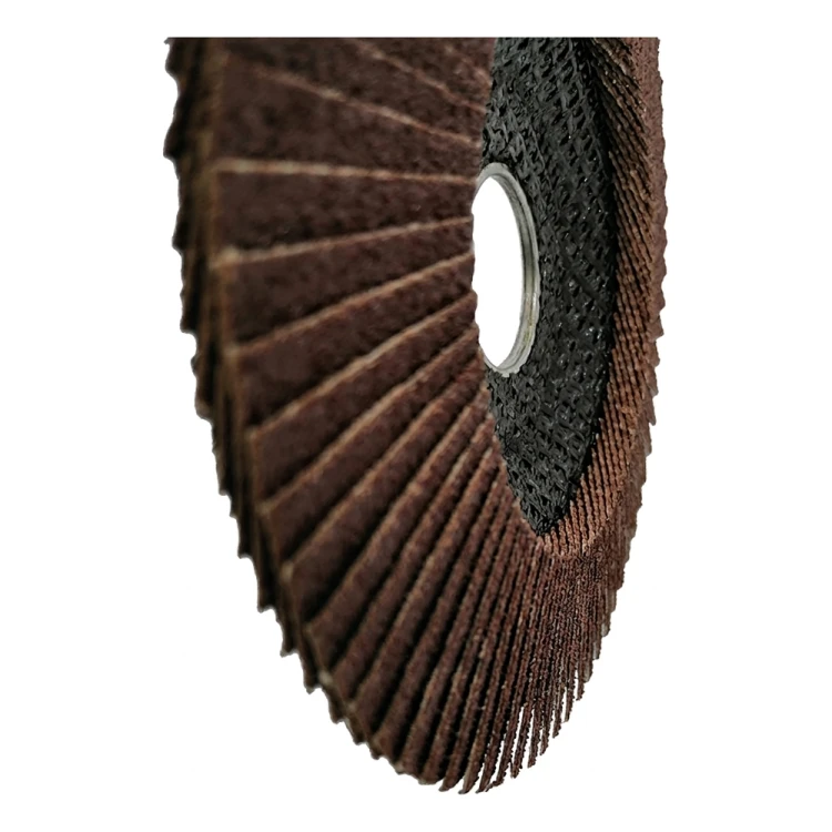 Disque à lamelles cintré Star Flex T29 125 mm pour acier – grain 80 000-973 (3)
